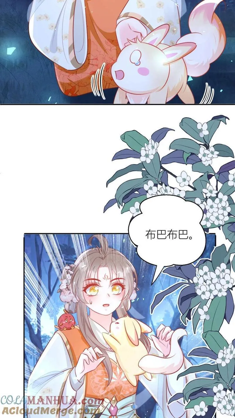 小师妹明明超强却过分沙雕漫画,第75话 我才不要云鹊的二手货25图