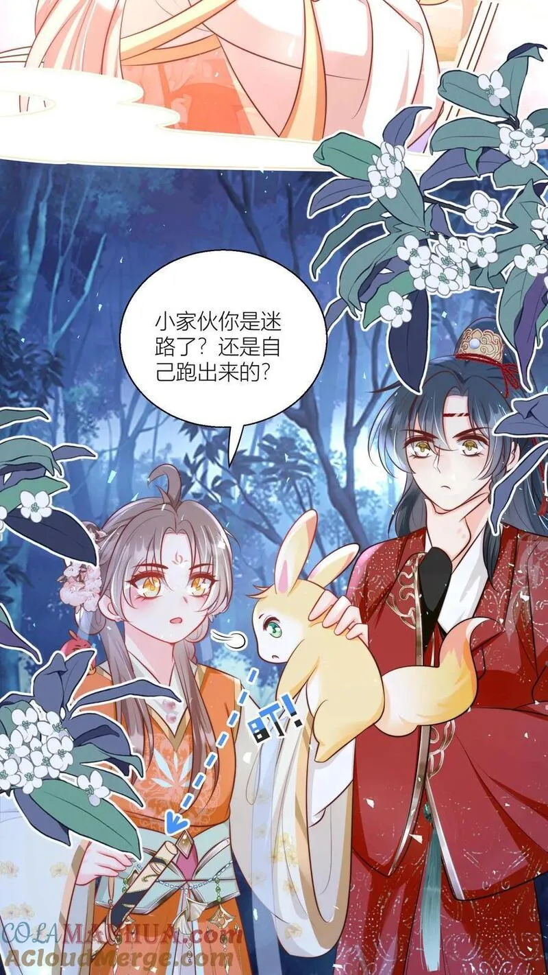 小师妹明明超强却过分沙雕漫画,第75话 我才不要云鹊的二手货21图