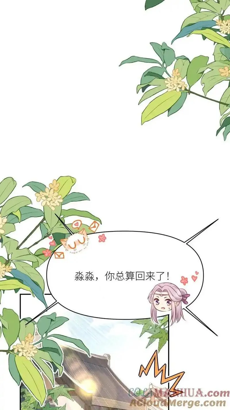 小师妹明明超强却过分沙雕漫画,第156话 你竟然欺骗善良无辜的我们5图