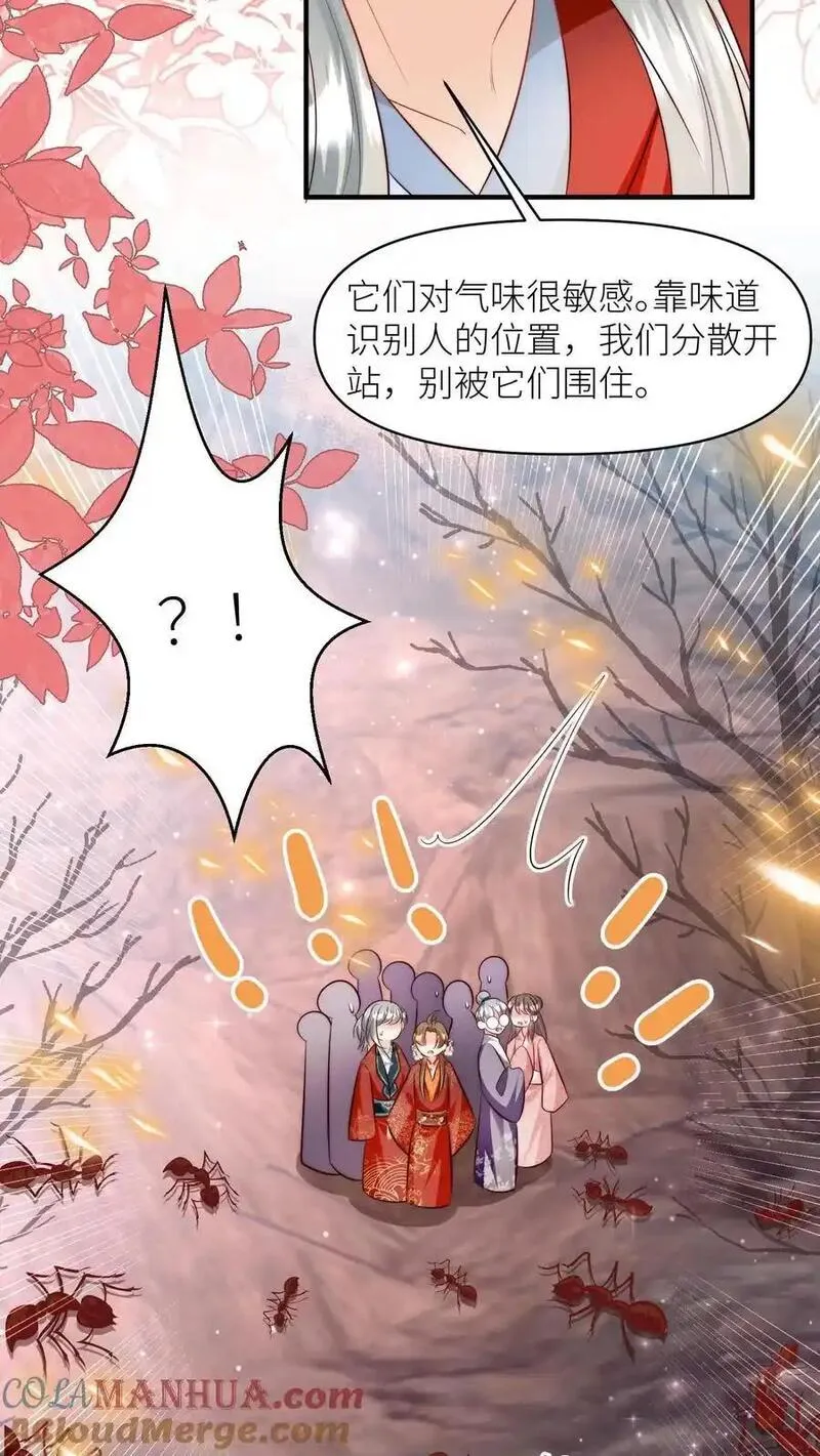 小师妹明明超强却过分沙雕漫画,第178话 怪味丹药大赏21图