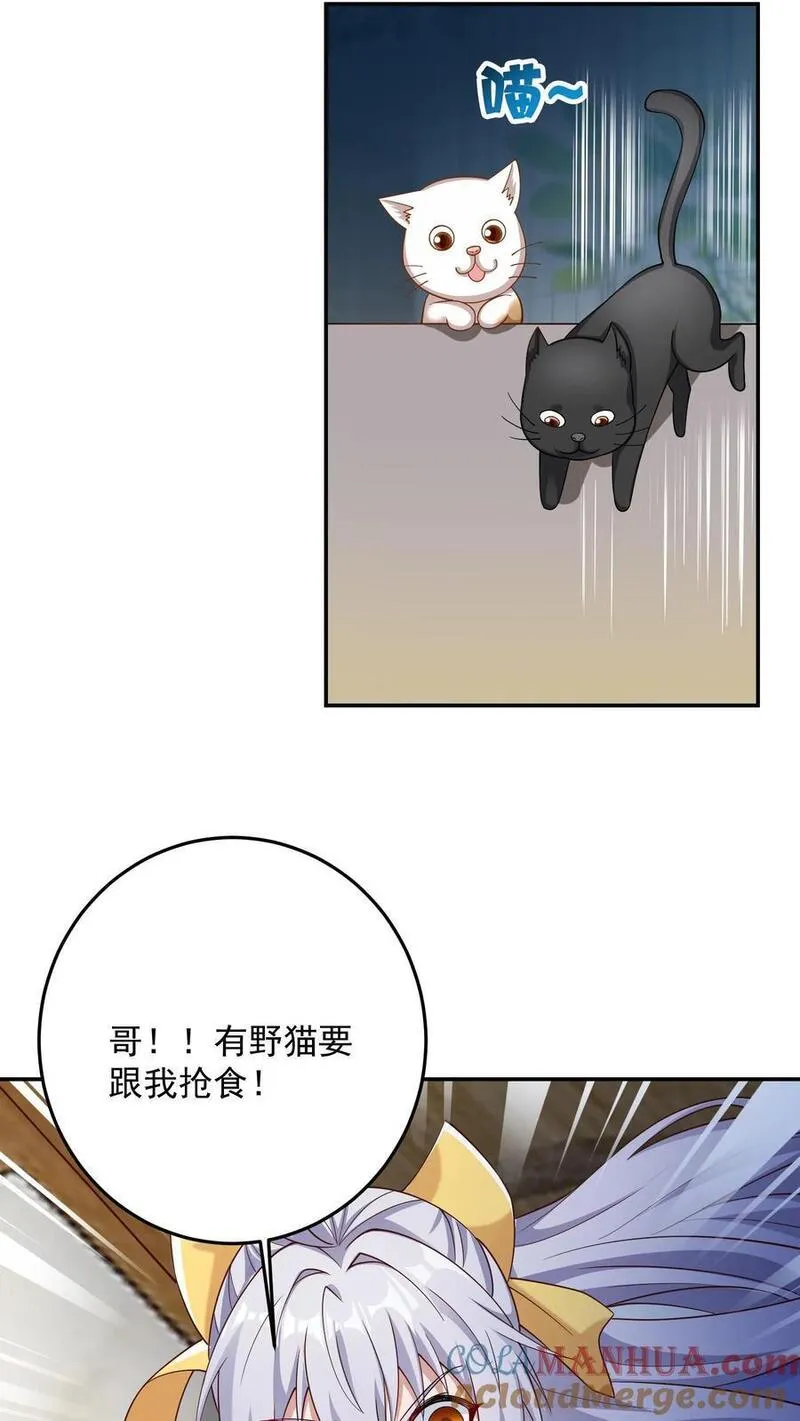 给妹妹陪读的我，不小心无敌了漫画,第104话 哥，你应该不是猫奴吧？19图