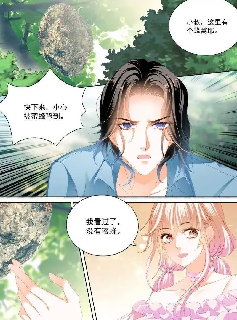 霸道小叔请轻撩帝夜爵免费阅读漫画,涩涩的蜜蜂12图