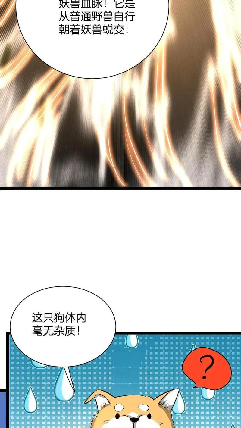 玄幻我无敌从败家开始漫画免费观看漫画,第15话 九纹清玄丹畅吃20图