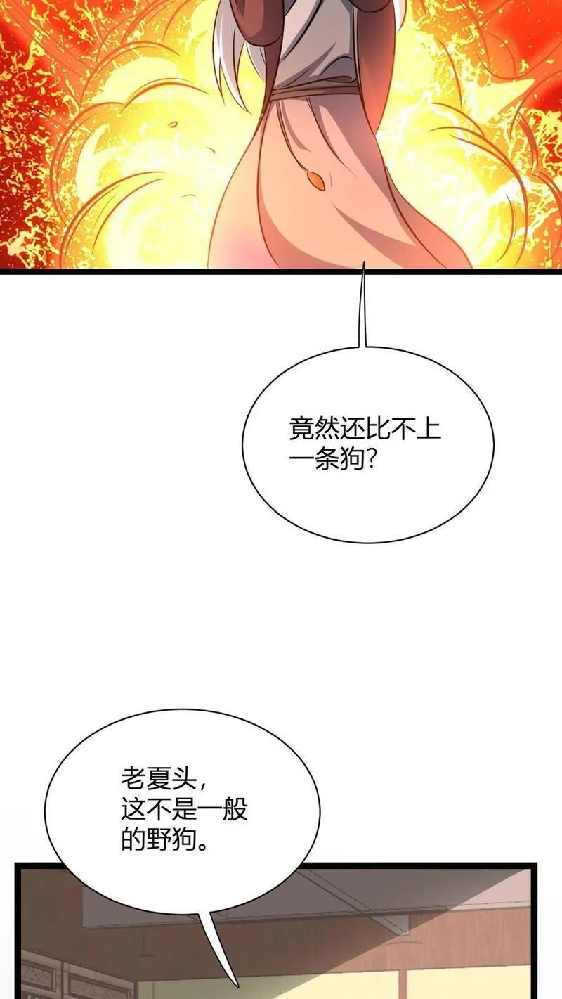 玄幻我无敌从败家开始漫画免费观看漫画,第15话 九纹清玄丹畅吃17图