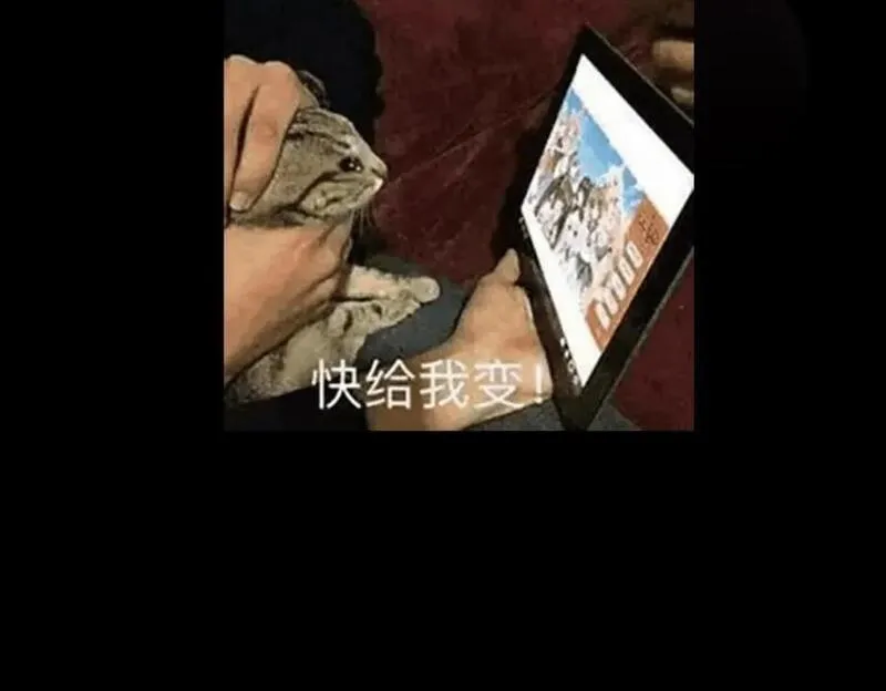 掌门低调点漫画免费阅读下拉式168漫画,234 与路朝歌一起战死！175图