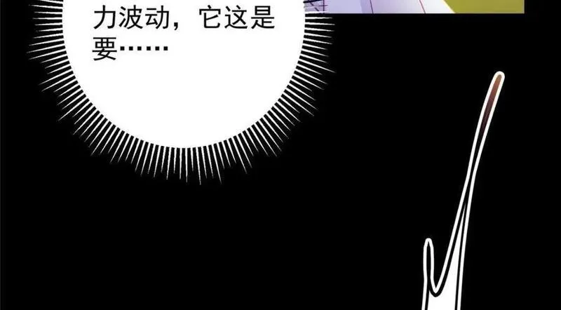 掌门低调点动漫免费观看全集第3季中文版漫画,256 他留给他的28图