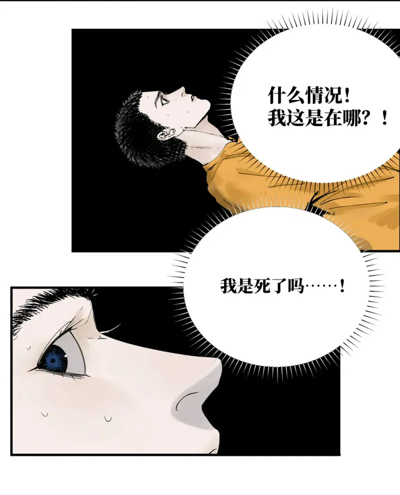 楚乌免费观看下拉式漫画漫画,第一回 棺（中）44图