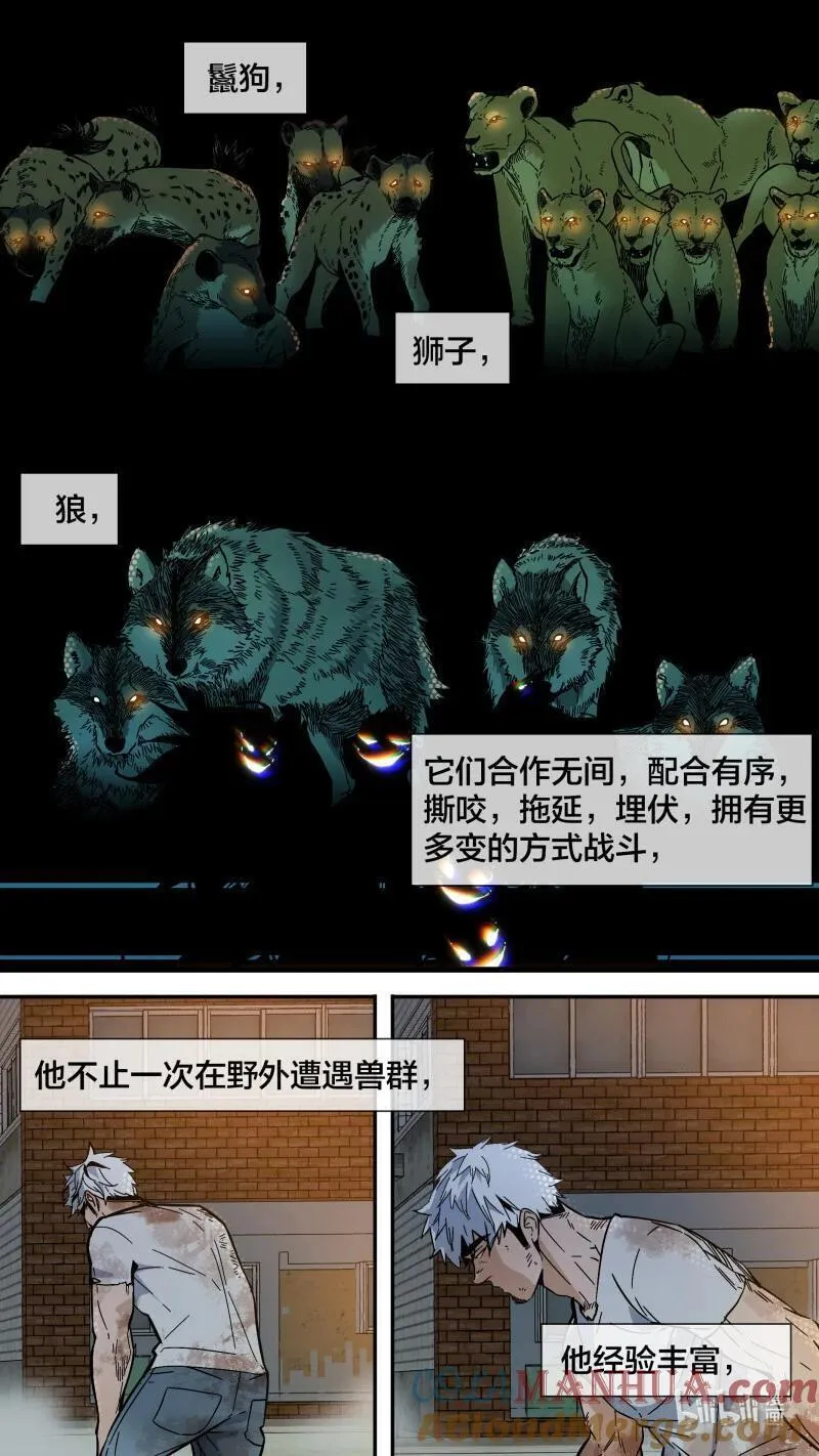 乌鸦漫画,278 【止战之殇】0063图