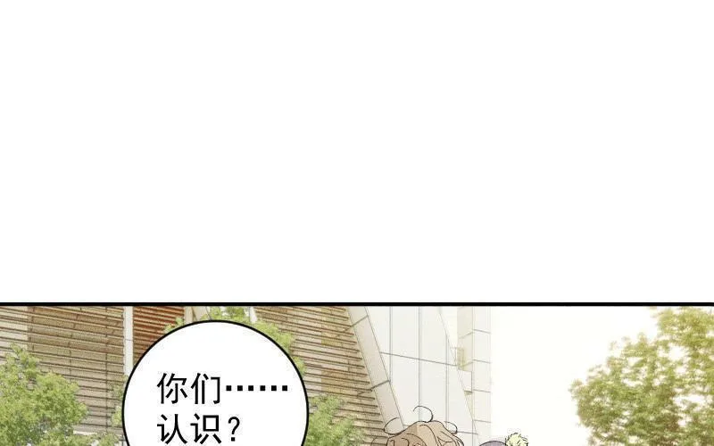 宠坏by榴莲香菜小说免费阅读漫画,第65话 发疯54图