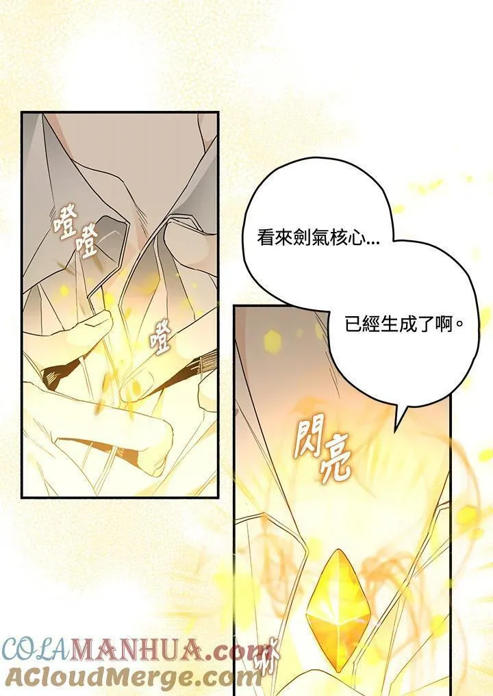 西格列汀说明书漫画,第9话4图