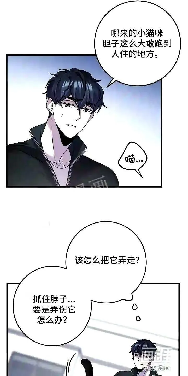 黑洞怪物漫画在线观看漫画,第28章:聪明的猫咪3图