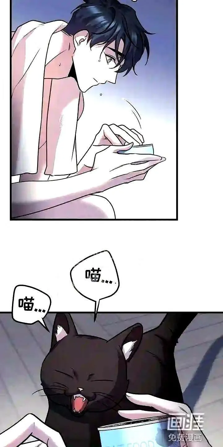 黑洞怪物漫画在线观看漫画,第28章:聪明的猫咪17图