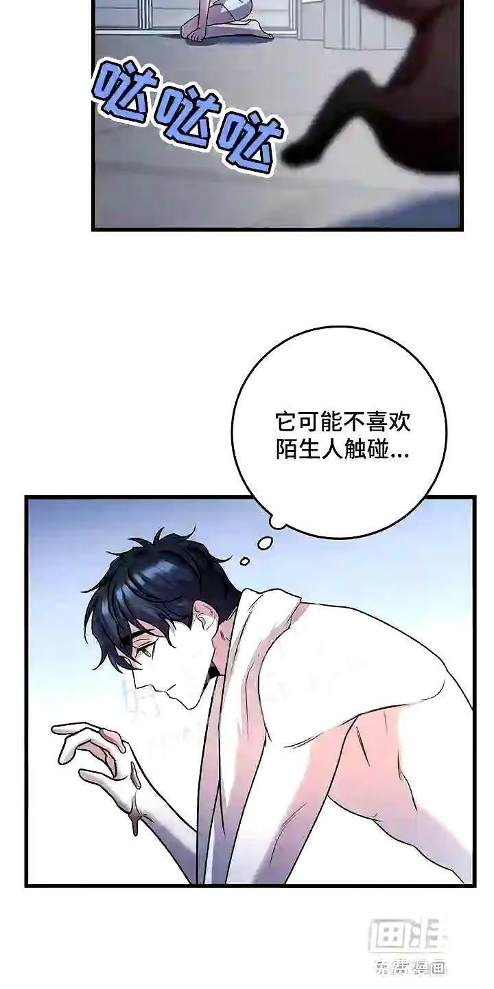 黑洞怪物漫画在线观看漫画,第28章:聪明的猫咪22图