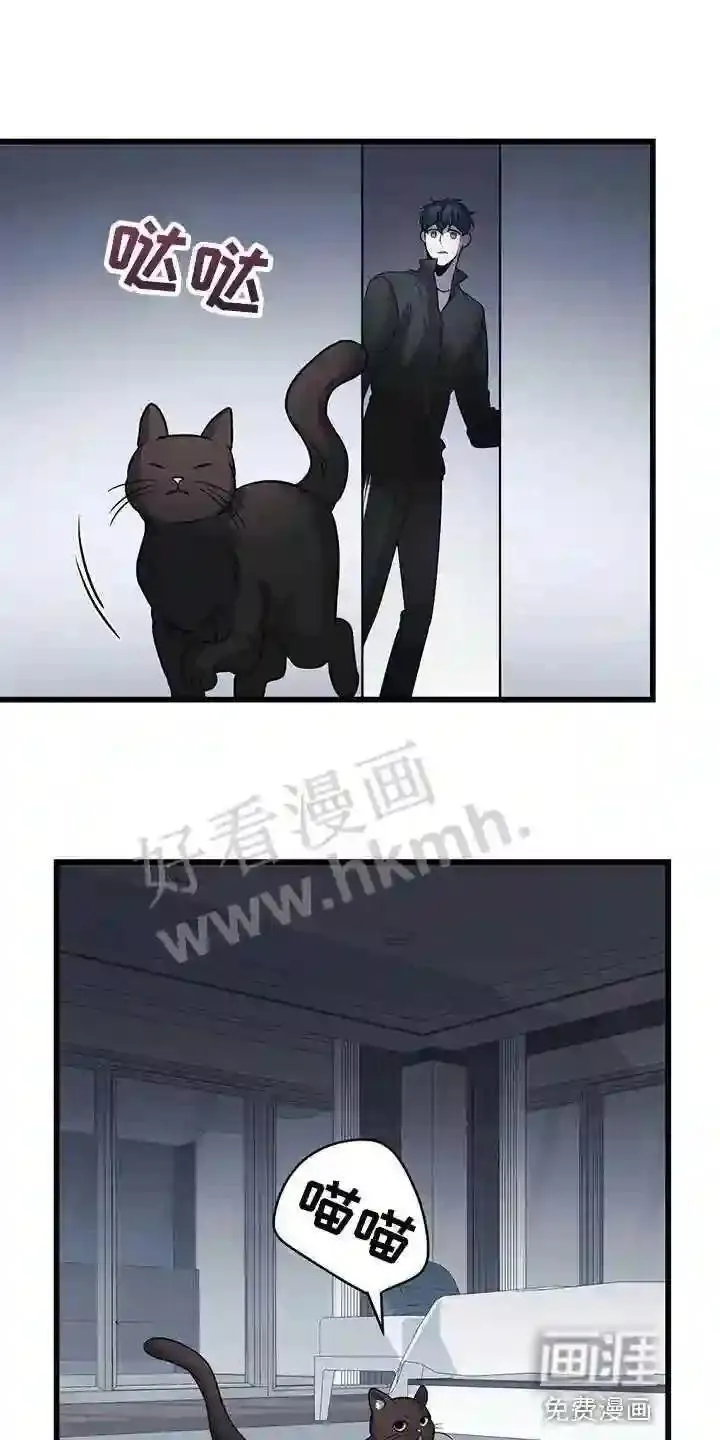 黑洞怪物漫画在线观看漫画,第28章:聪明的猫咪24图