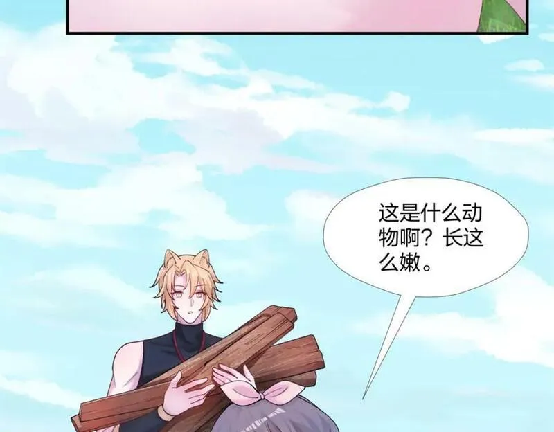 悠哉兽世种种田生生崽小说全文免费阅读漫画,48595图