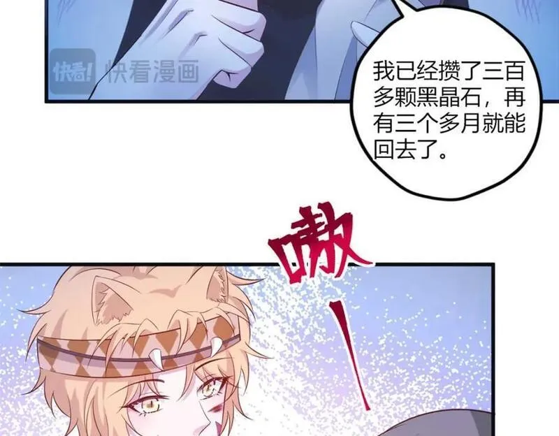 悠哉兽世:种种田,生生崽免费漫画漫画,51238图