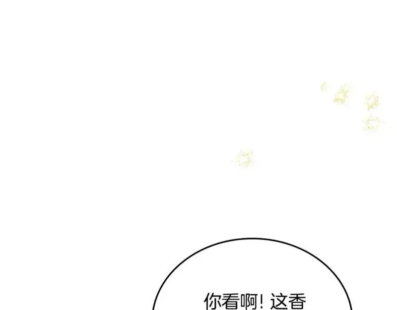 这一世我来当家主漫画,第129话 替蒂亚找亲事24图