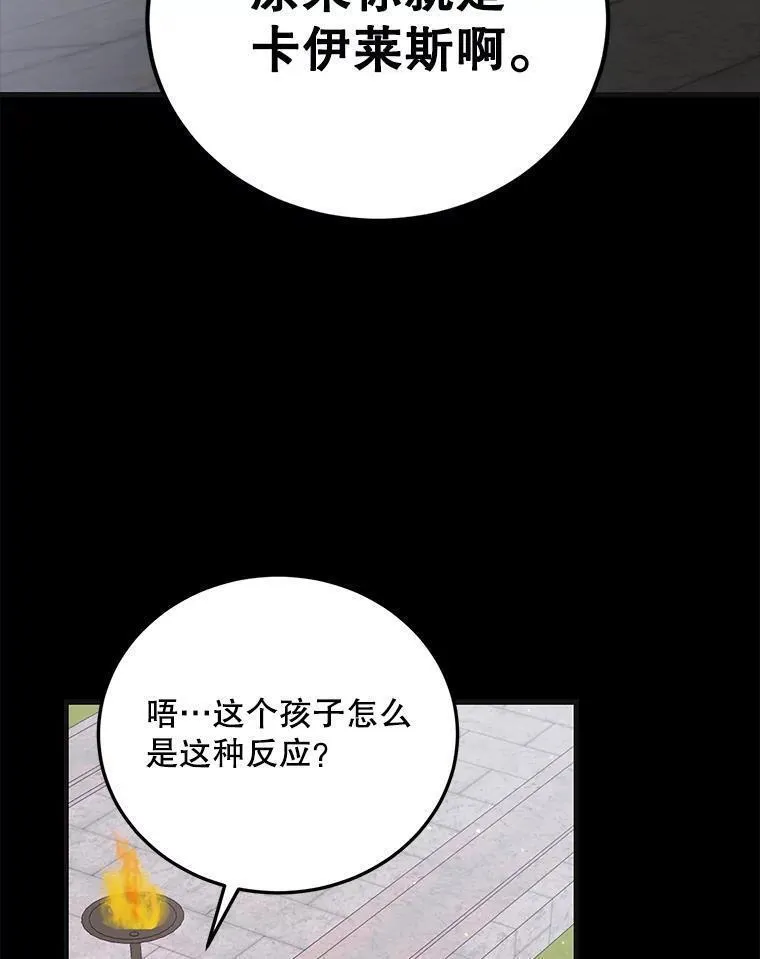 如何守护温柔的你漫画,96.卡伊莱斯的过往78图