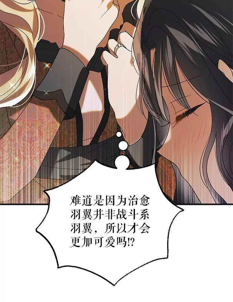 如何守护温柔的你漫画,98.卡伊莱斯的猜测19图