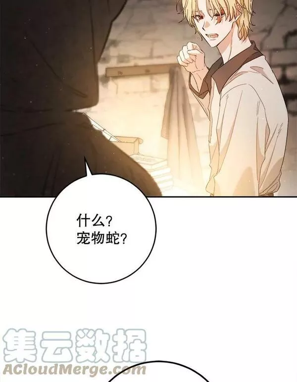 公女的双重生活漫画,61.保密咒术67图