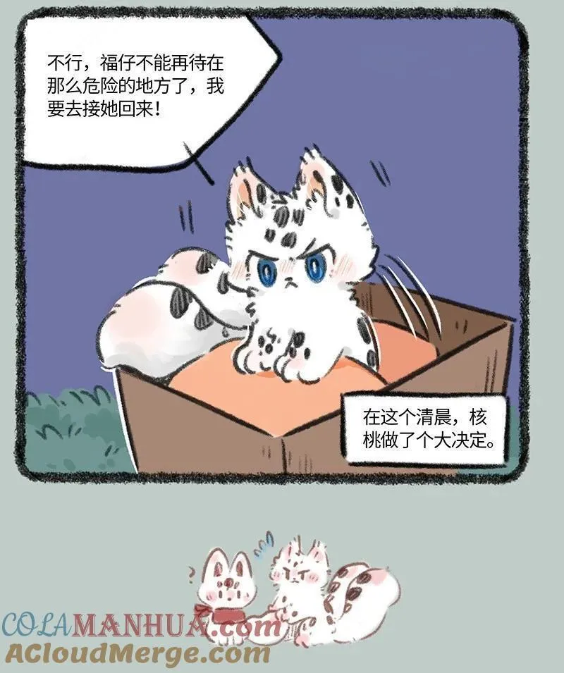 有兽焉壁纸漫画,816 核桃的决心7图