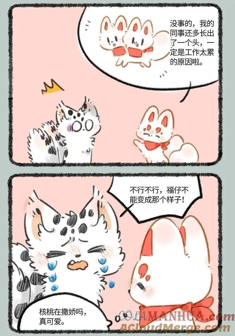 有兽焉壁纸漫画,816 核桃的决心3图