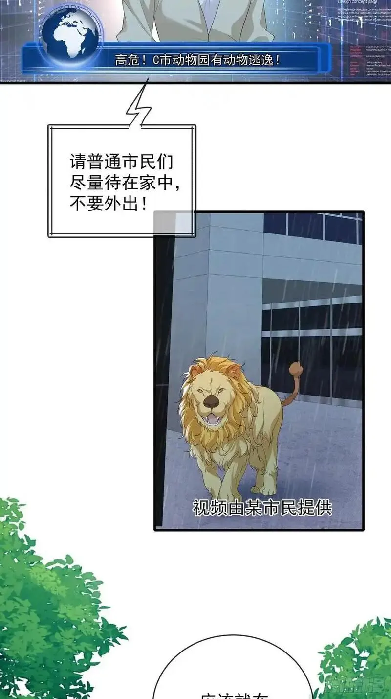 妖狐崽崽今天也很乖漫画免费观看漫画,133 各自带队4图