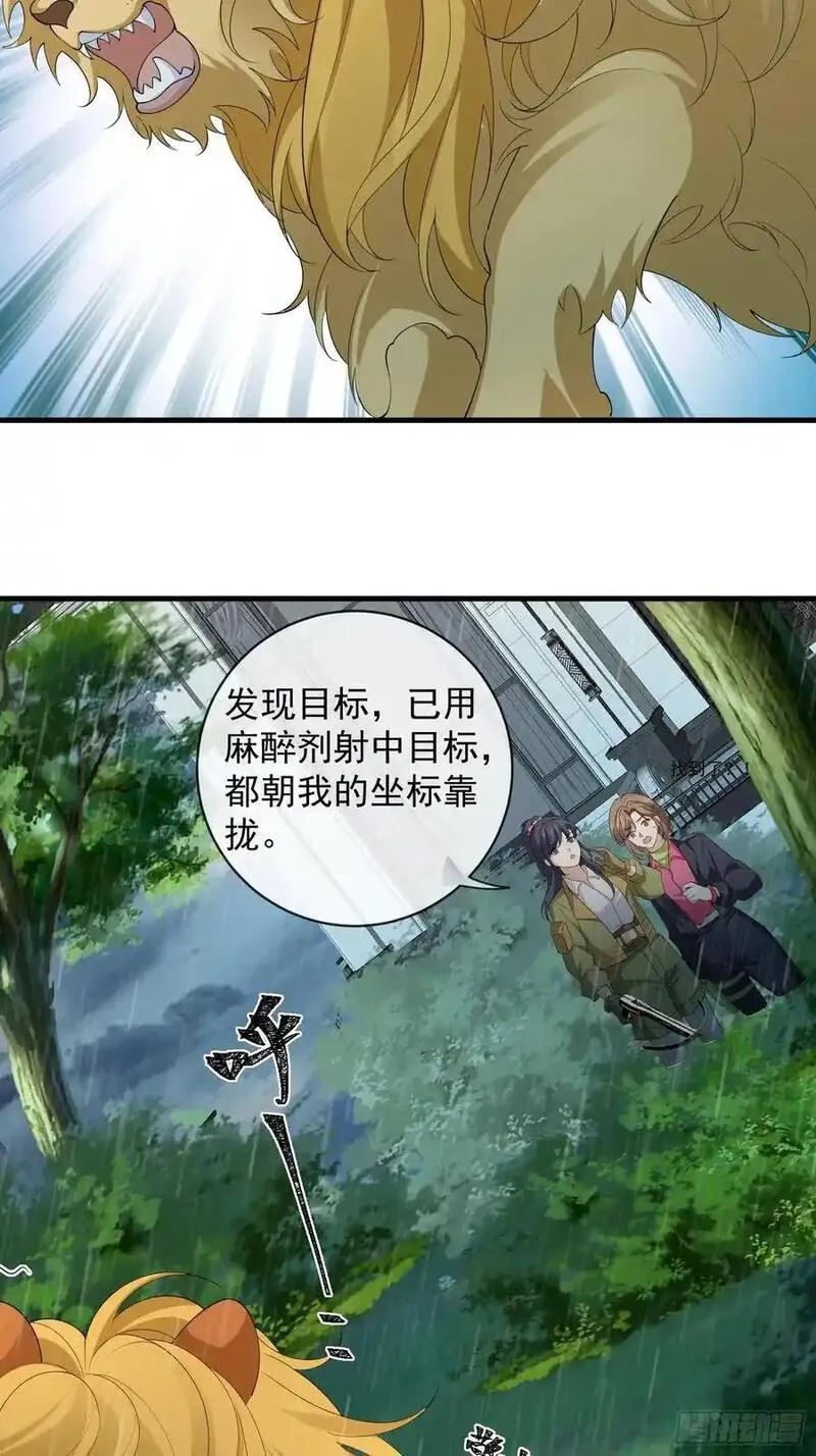 妖狐崽崽今天也很乖漫画免费观看漫画,133 各自带队12图