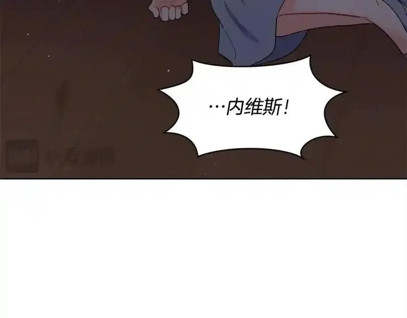 精灵团宠小千金动漫合集漫画,第188话 营救内维斯！126图