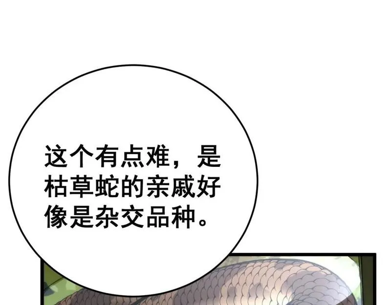 毒手巫医漫画,第444话 颇有心机131图