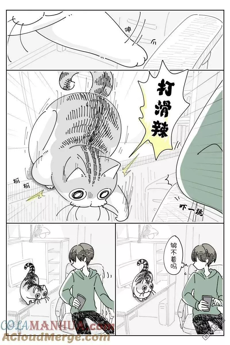 关于养猫我一直是新手漫画,第165话2图