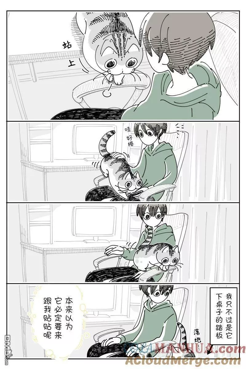 关于养猫我一直是新手漫画,第165话3图