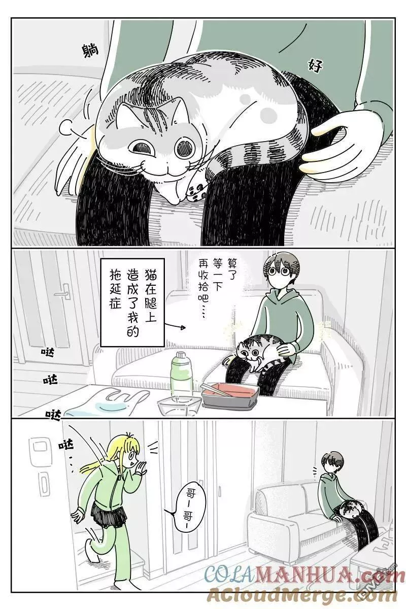 关于养猫我一直是新手漫画,第166话2图