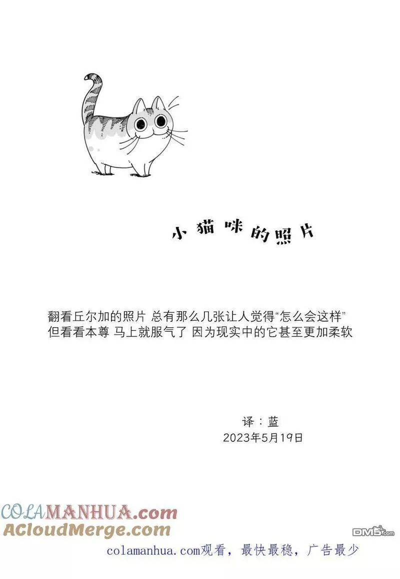 关于养猫我一直是新手 图片漫画,第167话4图