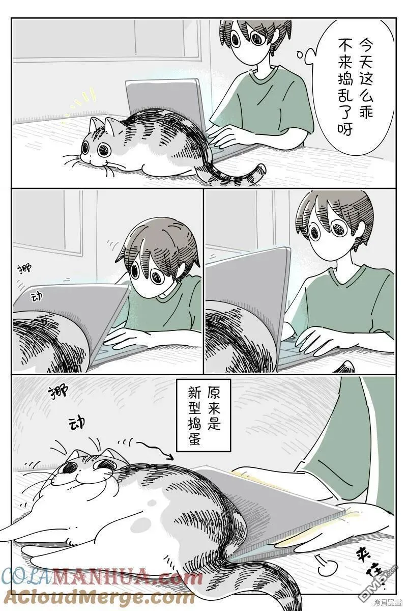 关于养猫我一直是新手漫画,第174话5图