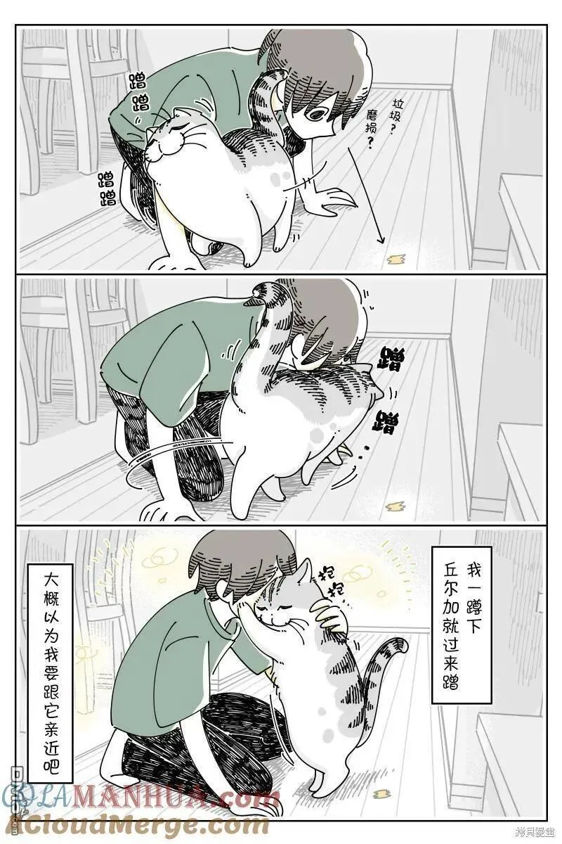 关于养猫我一直是新手漫画,第174话2图