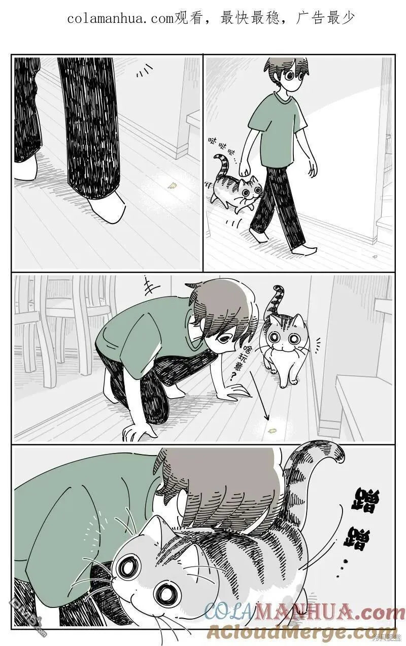 关于养猫我一直是新手漫画,第174话1图