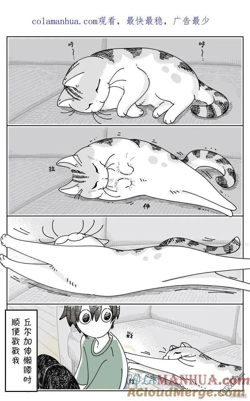 关于养猫我一直是新手漫画,第176话1图