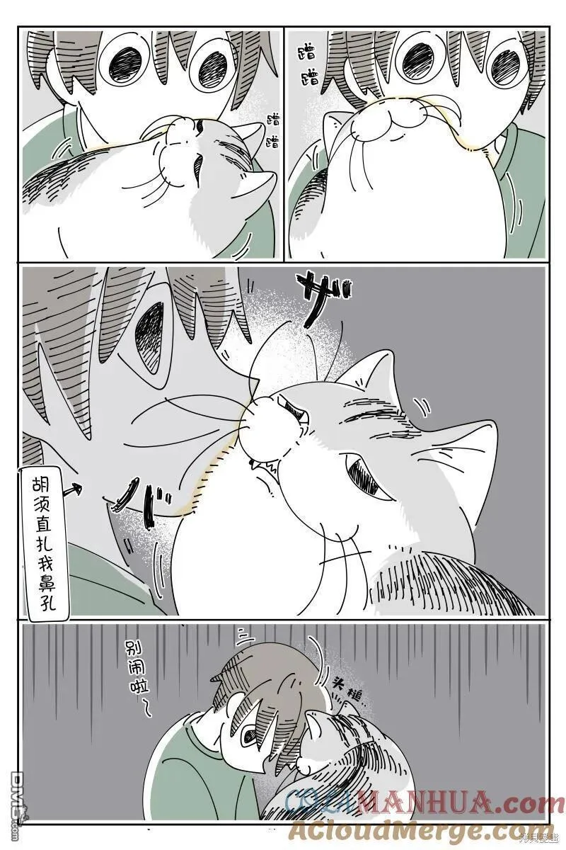 关于养猫我一直是新手 图片漫画,第178话2图