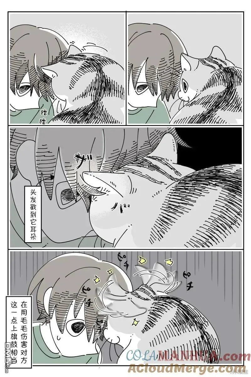 关于养猫我一直是新手 图片漫画,第178话3图