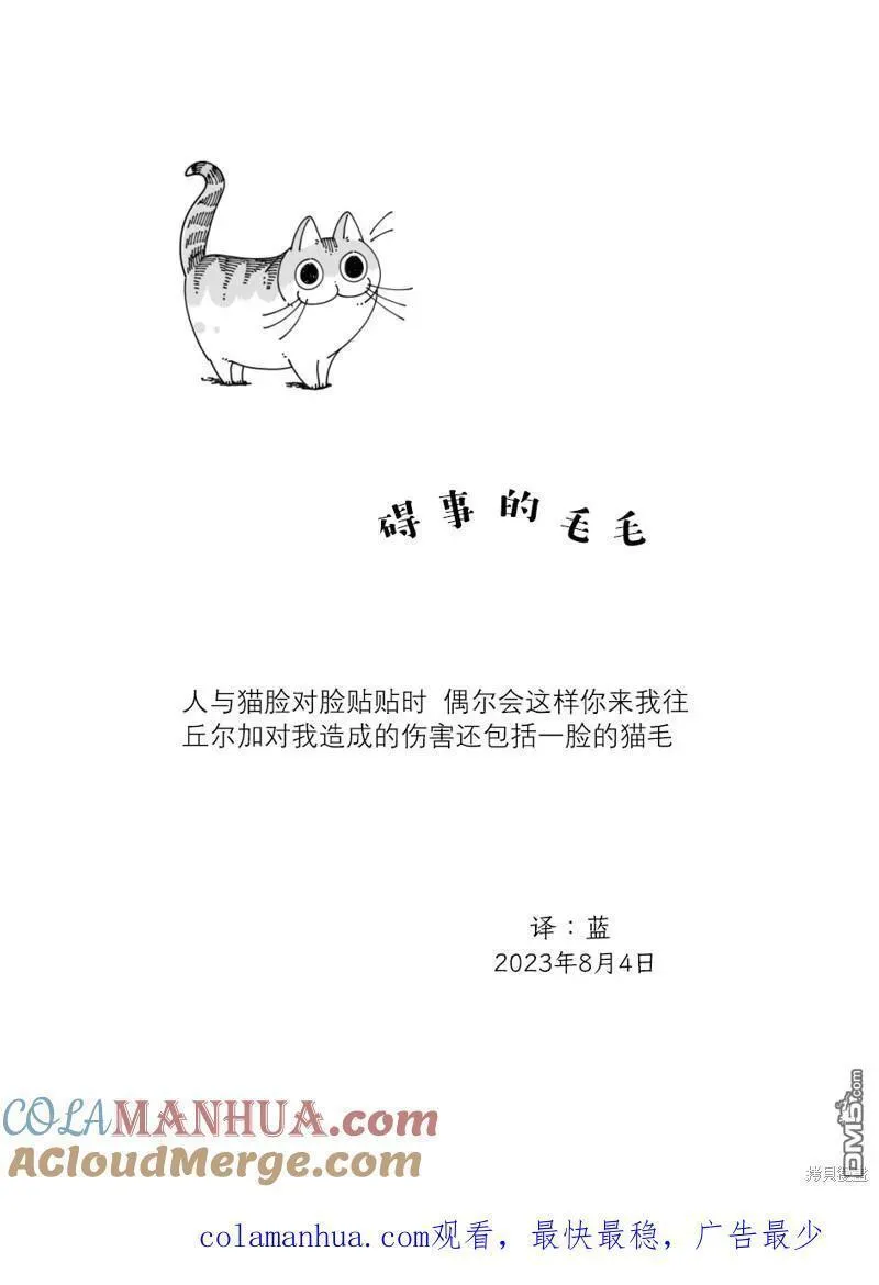 关于养猫我一直是新手 图片漫画,第178话4图