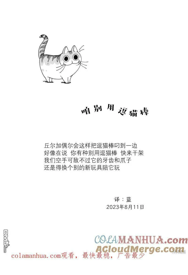 关于养猫我一直是新手 图片漫画,第179话4图