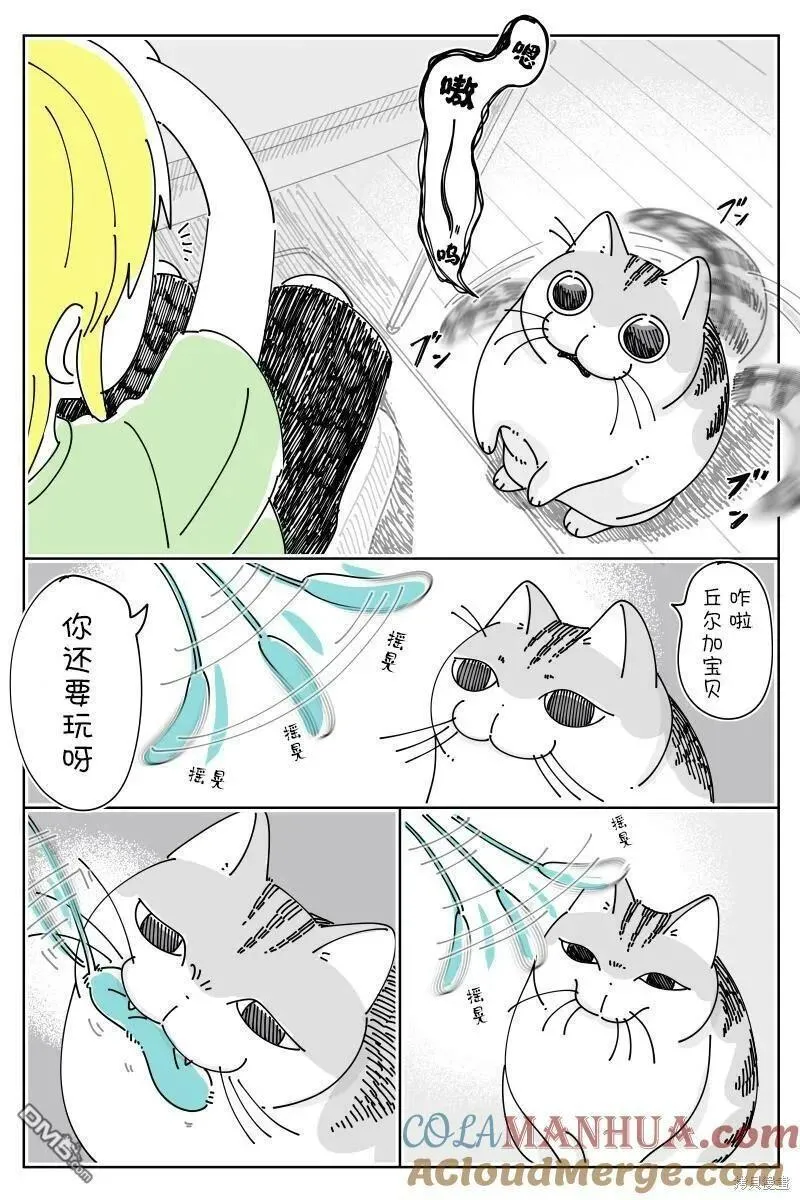 关于养猫我一直是新手 图片漫画,第179话2图