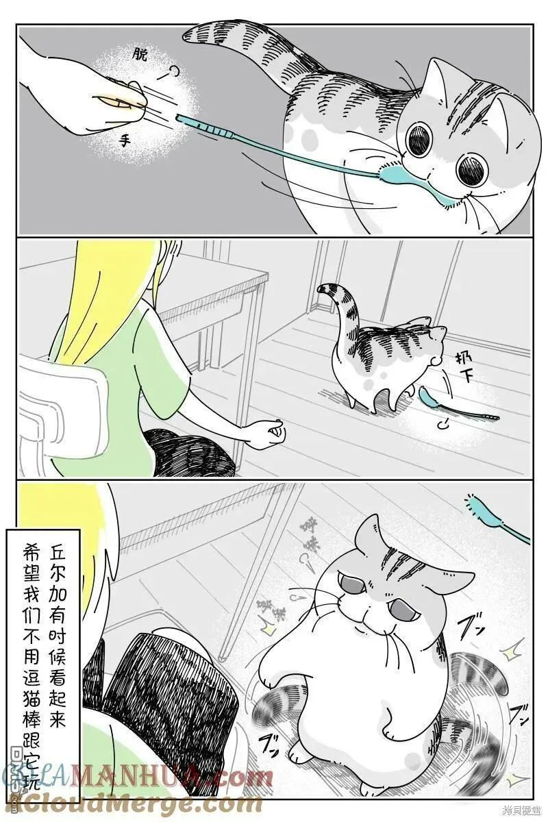 关于养猫我一直是新手 图片漫画,第179话3图