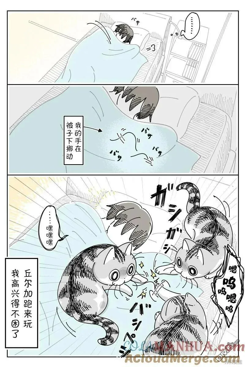 关于养猫我一直是新手漫画,第180话3图