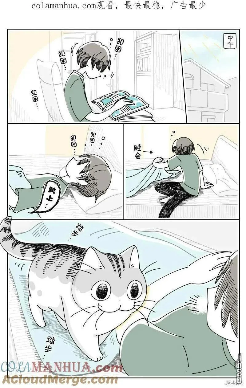 关于养猫我一直是新手漫画,第180话1图