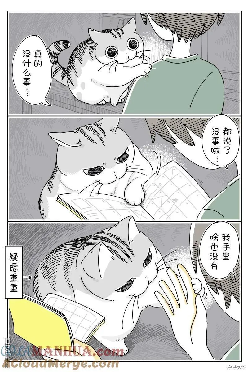 关于养猫我一直是新手 图片漫画,第181话3图