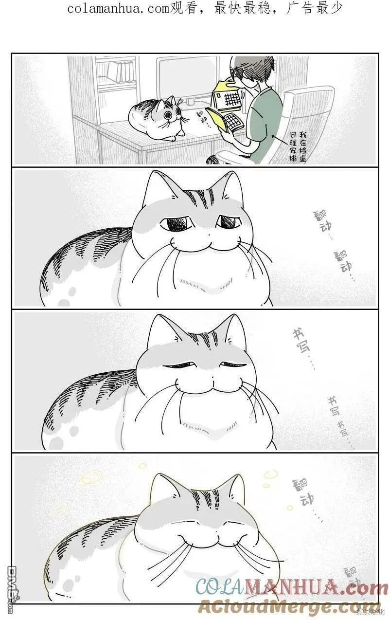 关于养猫我一直是新手 图片漫画,第181话1图