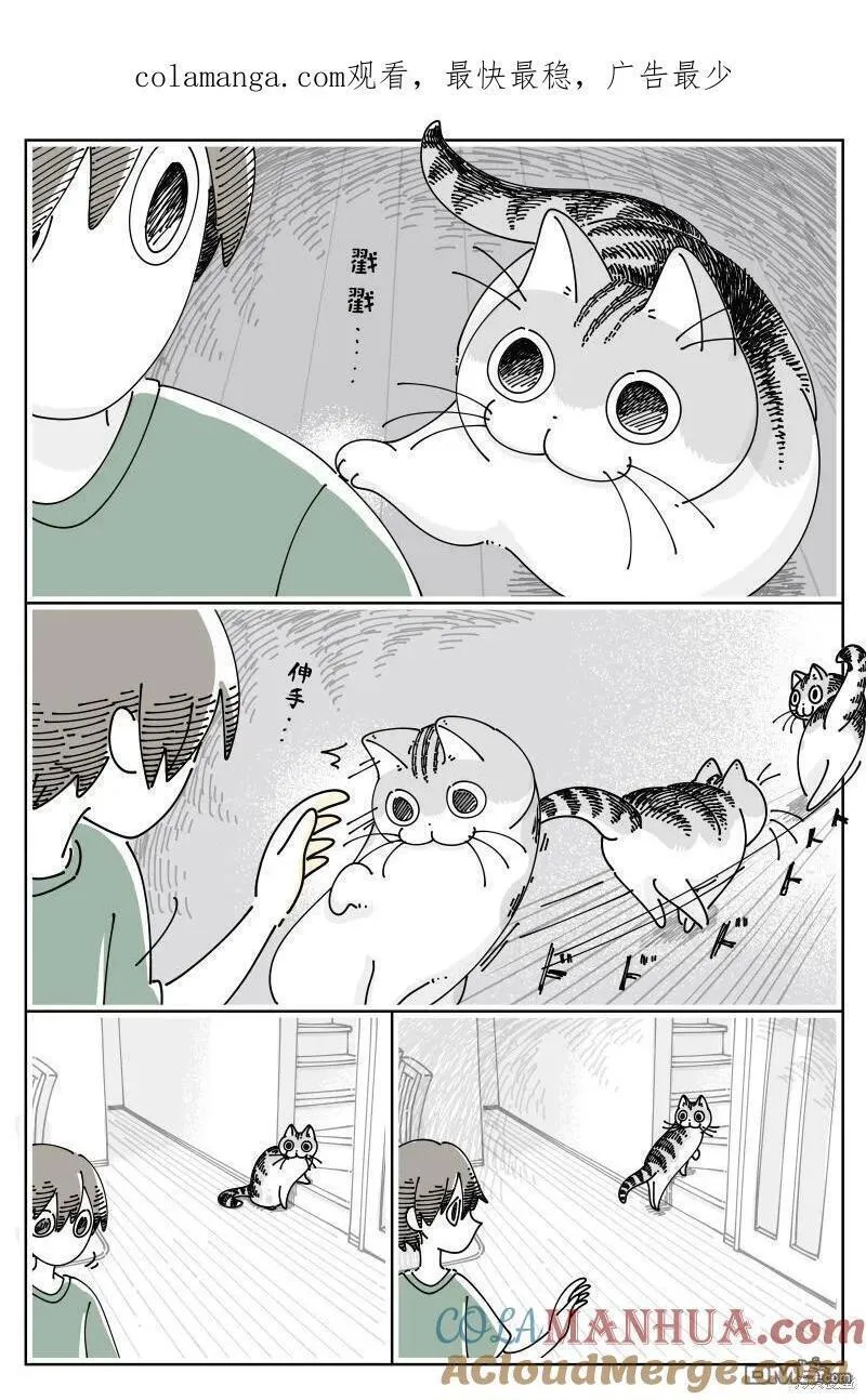 关于养猫我一直是新手漫画,第183话1图