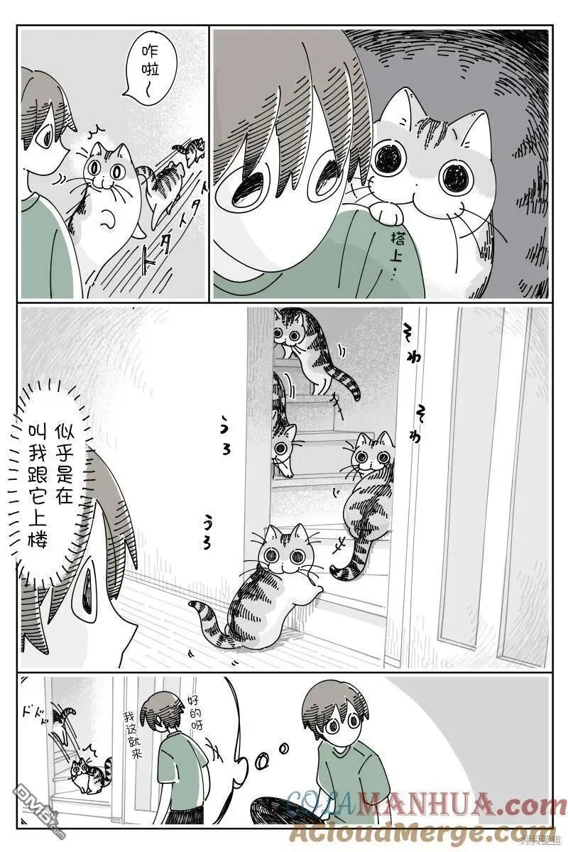 关于养猫我一直是新手漫画,第183话2图